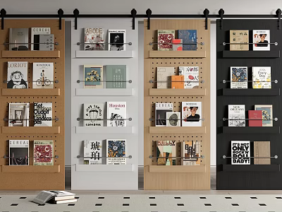 Modern Barn Doors Display With Magazines And Books In Colorful Interior 3d model
