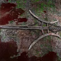 Ancient Metal Weapon with Intricate Curved Blades Lying on Mossy Bloodstained Stone Ground