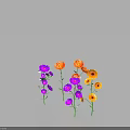 Beautiful Multiple Purple and Orange Flowers with Green Stems Leaves on White Background