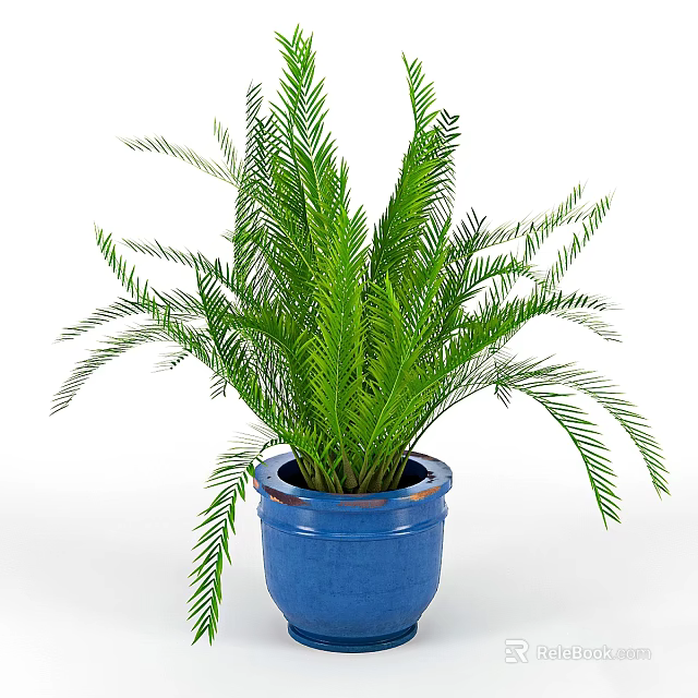 Blue Vase with Lush Green Fern Plant for Indoor Decorative 3d model 