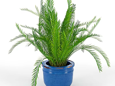 Blue Vase with Lush Green Fern Plant for Indoor Decorative 3d model