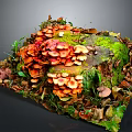 Orange Mushrooms Growing On Tree Stump With Green Moss Dry Leaves And Green Plants