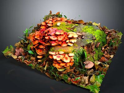 Orange Mushrooms Growing On Tree Stump With Green Moss Dry Leaves And Green Plants 3d model