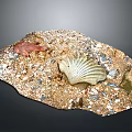Natural Decorative Tray With Sand Stones Seashell Red Coral And Green Moss For Home Decoration