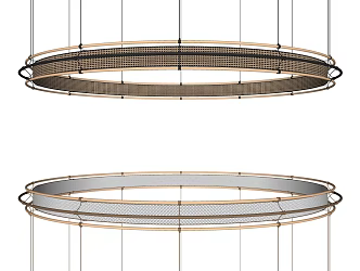 Modern Chandelier Ring Metal Large Chandelier 3d model