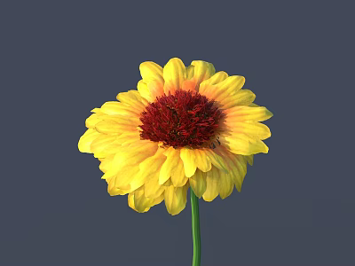 Vibrant Yellow Flower with Bright Red Center and Green Stem Against Gray Background 3d model