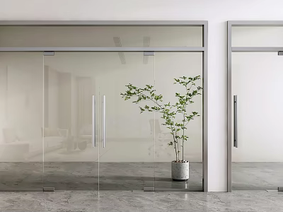 Modern Glass Double Doors With Sleek Frames In Interior Space And Potted Plant 3d model