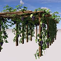Wooden Pergola Covered With Green Vines And Purple Grapes In Garden