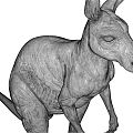 Realistic 3D Gray Kangaroo Model In Standing Pose With Detailed Features 3d model