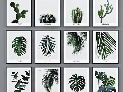 Botanical Plant Paintings With Cactus Monstera And Palm Leaves Framed On White Background 3d model