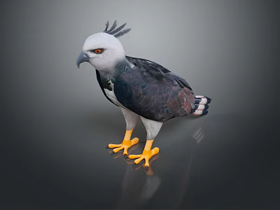 bird game animal cartoon animal realistic animal 3d model