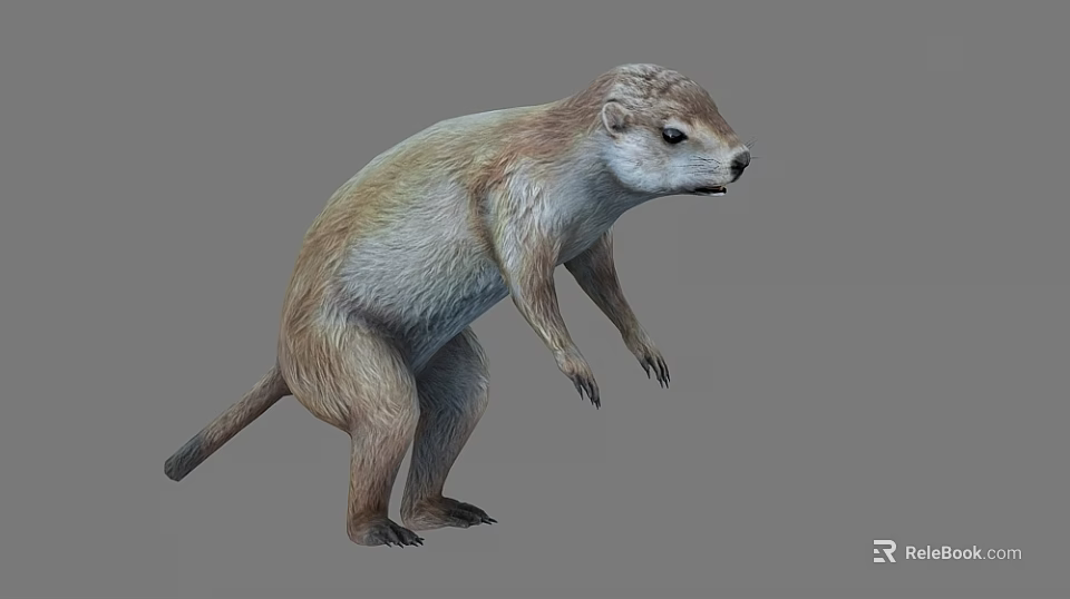 Realistic Standing Groundhog 3D Model With Light Brown Fur And Gray Background 3d model