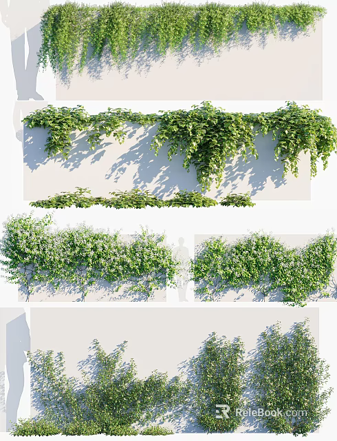 Lush Green Climbing Vines With Wall Coverage For Garden And Home Decor 3d model 