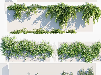 Lush Green Climbing Vines With Wall Coverage For Garden And Home Decor 3d model