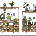 Creative Plant Combinations On Multi Tiered Shelves With Various Potted And Hanging Plants
