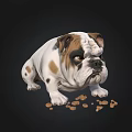 Bulldog With White And Brown Coat Sitting Near Scattered Dog Food Pieces