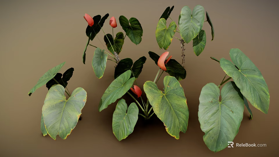 Tropical Indoor Plants With Large Green Leaves And Red Flowers For Home Decor 3d model 