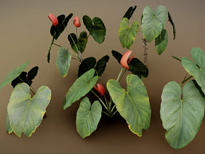 Tropical Indoor Plants With Large Green Leaves And Red Flowers For Home Decor 3d model