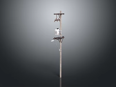 Detailed Outdoor Utility Pole With Crossarms Insulators Lamp And Wires 3d model