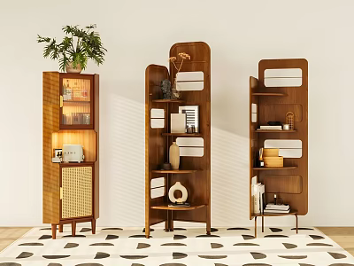 Stylish Wooden Shelving Units With Decorative Items Plant And Geometric Rug Against White Wall 3d model