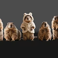 Standing Reptiles With One Wearing Furry Costume On Dark Background With Reflections