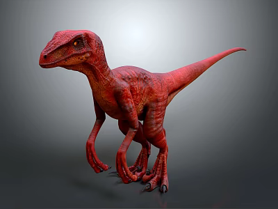 Red Velociraptor 3D Model With Sharp Claws In Standing Pose 3d model