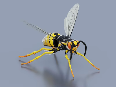 Detailed Flying Wasp with Yellow Black Body Transparent Wings Orange Legs and Black Antennae 3d model