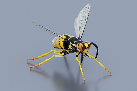 Modern Hornets 3d model