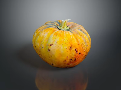 Fresh Yellow Striped Speckled Pumpkin With Reflection On Black Background For Food 3d model