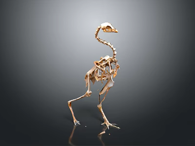 Detailed Golden Ostrich Skeleton Showing Skeletal Organs And Anatomical Features On Gray Background 3d model
