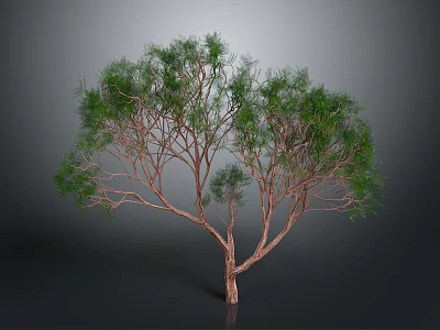 Green Leafy Tree With Brown Trunk And Lush Foliage Against Gray Background 3d model
