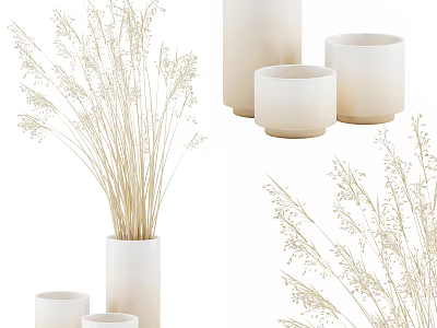 Elegant White Ceramic Vases With Dried Grass For Home Interior Decor 3d model