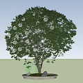 Landscape tree lamp hanging tree lamp 3d model