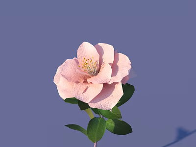 Single Beautiful Pink Flower With Lush Green Leaves On Soft Purple Background 3d model