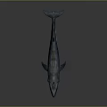 Detailed Realistic 3D Rendered Whale on Dark Background with Subtle Reflection