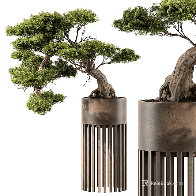 Artistic Bonsai Tree With Twisted Trunk And Lush Green Leaves In Metal Slatted Pot 3d model 