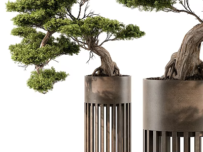 Artistic Bonsai Tree With Twisted Trunk And Lush Green Leaves In Metal Slatted Pot 3d model