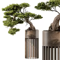 Artistic Bonsai Tree With Twisted Trunk And Lush Green Leaves In Metal Slatted Pot
