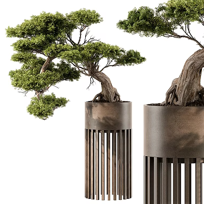 Artistic Bonsai Tree With Twisted Trunk And Lush Green Leaves In Metal Slatted Pot 3d model
