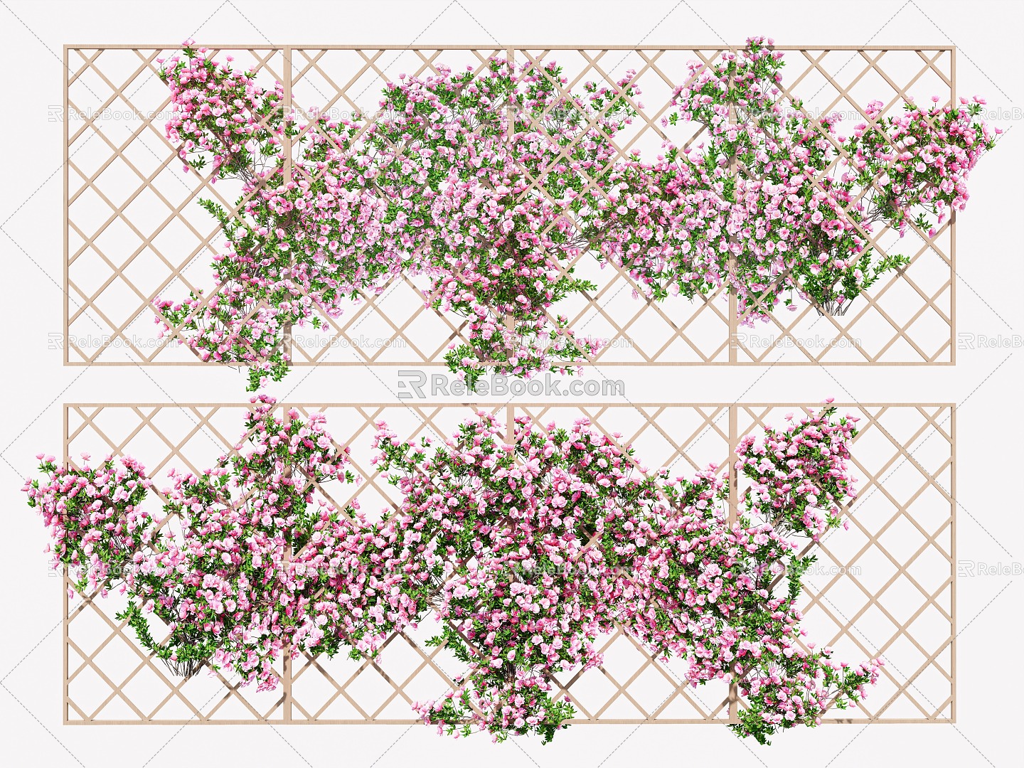 Rose Rosa Vine Plant Climbing Vine Green Plant Flower Wall 3d model