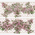 Lush Vines With Pink Flowers Growing On Decorative Garden Lattice For Outdoor Decoration