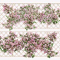 Rose Rosa Vine Plant Climbing Vine Green Plant Flower Wall 3d model