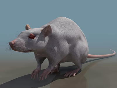 White Reptile with Red Eyes Standing on Gray Ground and Light Blue Background 3d model