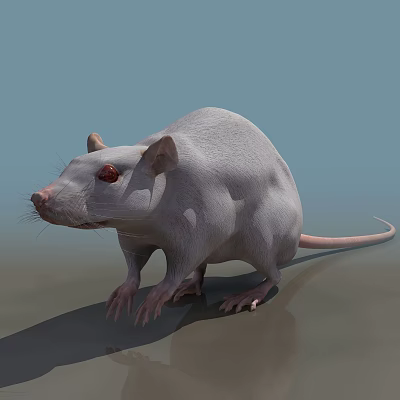 The Modern Mouse 3d model