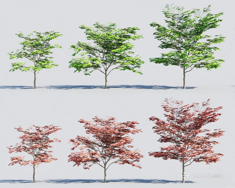 Six Single Trunk Arbor Trees With Green And Red Leaves In Two Rows 3d model