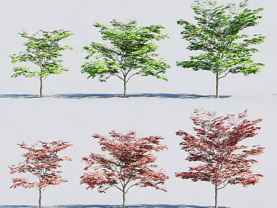 Six Single Trunk Arbor Trees With Green And Red Leaves In Two Rows 3d model