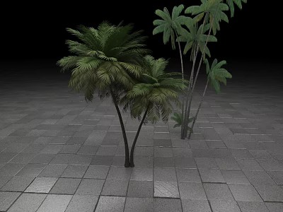 Lush Palm Trees In Outdoor Setting With Stone Tile Ground And Dark Background 3d model