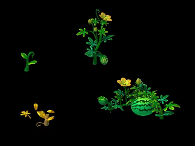 Watermelon Plant Growth Stages With Seedlings Vines Flowers And Ripe Fruit 3d model