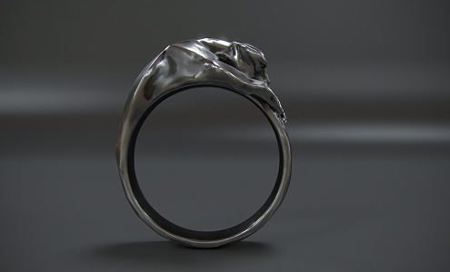 Modern Ring Leopard Ring 3d model