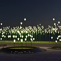 Illuminated Flowers In Night Garden With Green Lawn And Circular Turf Areas